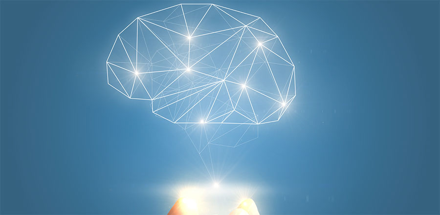 Outline of brain memory